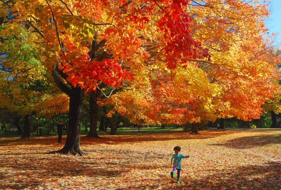 Talk Like a Pirate Day, Grandparents' Day, and More Holidays & Activities for September 2025 It's fall! Time to gather up some changing leaves for fabulous art projects. Photo by Sara Frazier