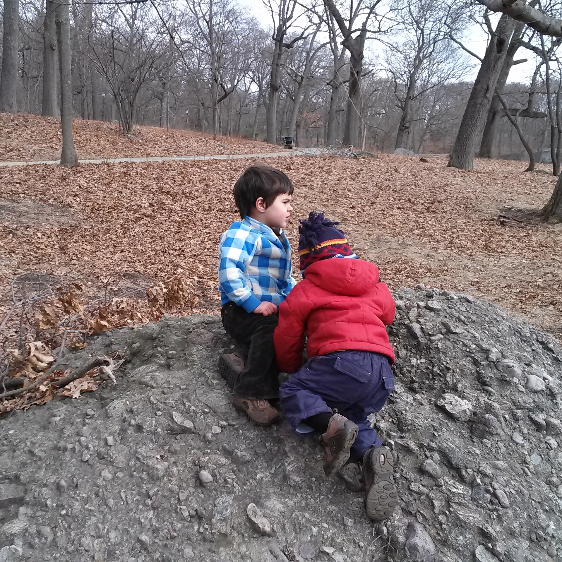 Exploring Franklin Park with Toddlers