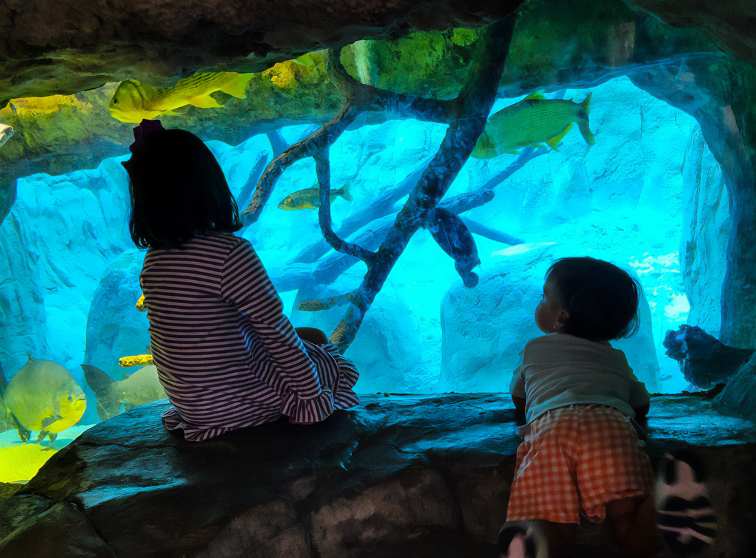 Photo by author Rebecca Matheson Ortiz for Mommy Poppins.