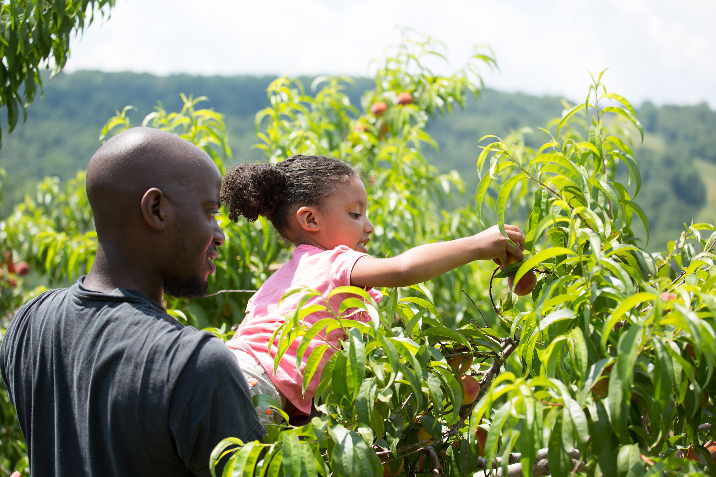 Connecticut Bucket List Lyman Orchards