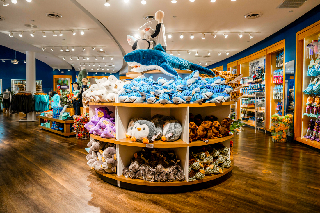 Photo of stuffed-animal toy display at the Mystic Aquarium gift shop.