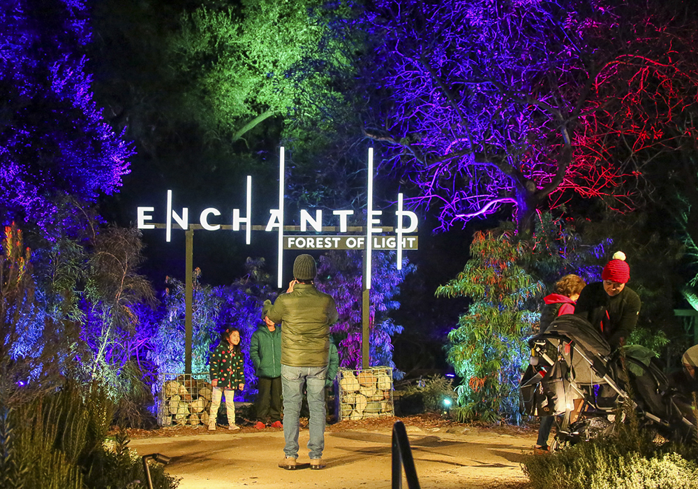 Enchanted: Forest of Light. Photo by Kathryn Rapier, courtesy of the event.