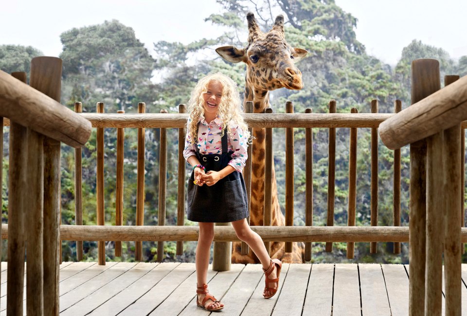 Ultimate California Bucket List: 100 Things To Do With Kids in CA: Santa Barbara Zoo