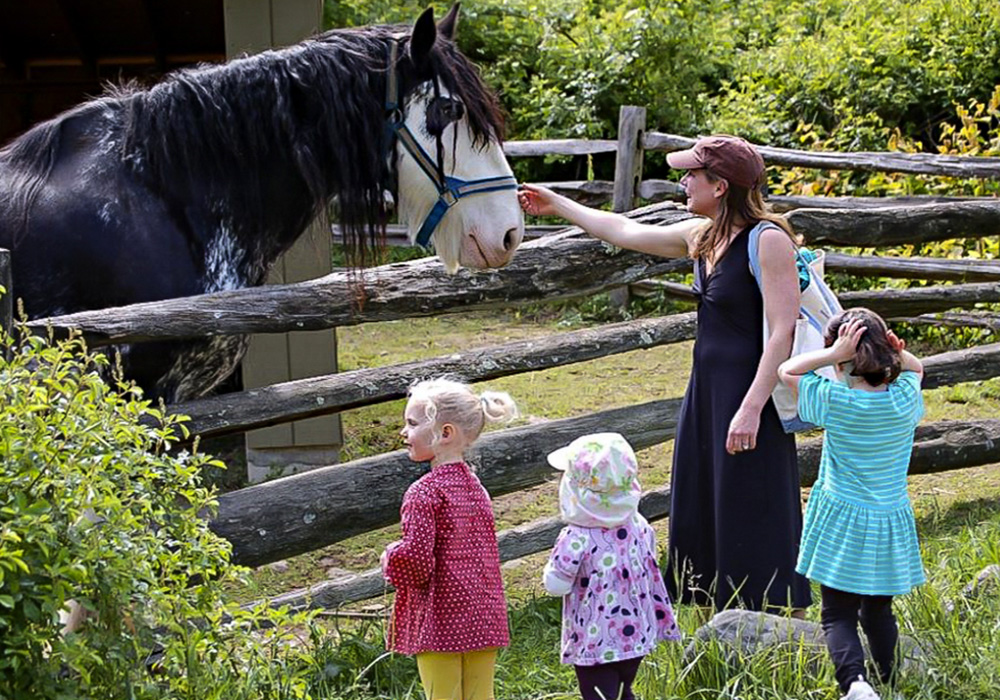 Have some amazing family experiences visiting Stamford with kids! Photo courtesy of the Stamford Arts & Nature Center
