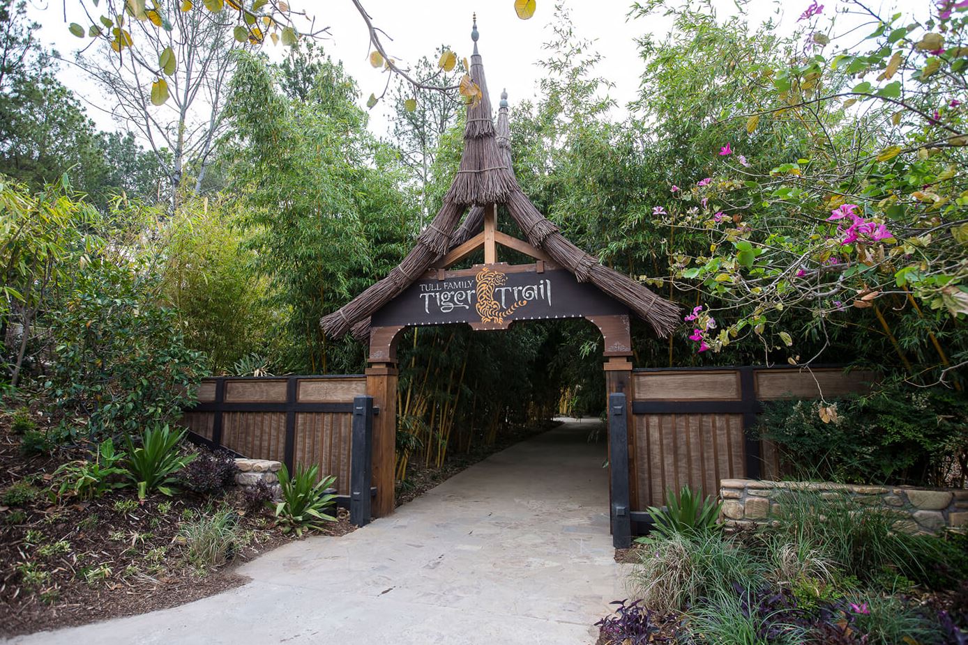 See the San Diego Zoo Like a Local: Tiger Trail
