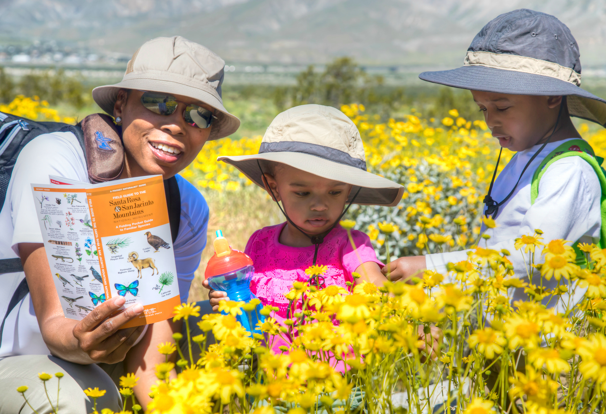Even in a dry year, California is bursting with gorgeous colors in the spring!