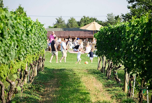 Wolffer Estates Visiting Long Island with Kids: 3-Day Itinerary from a Local